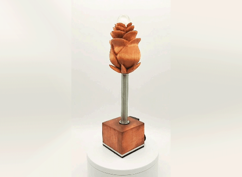 Moonlight Tulip Accent light