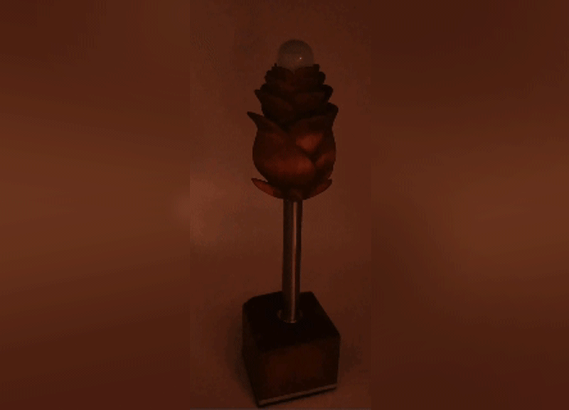 Moonlight Tulip Accent light